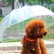 Transparent Umbrella for Dogs (28
